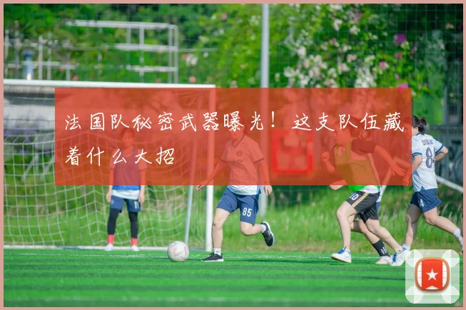 法国队秘密武器曝光!这支队伍藏着什么大招