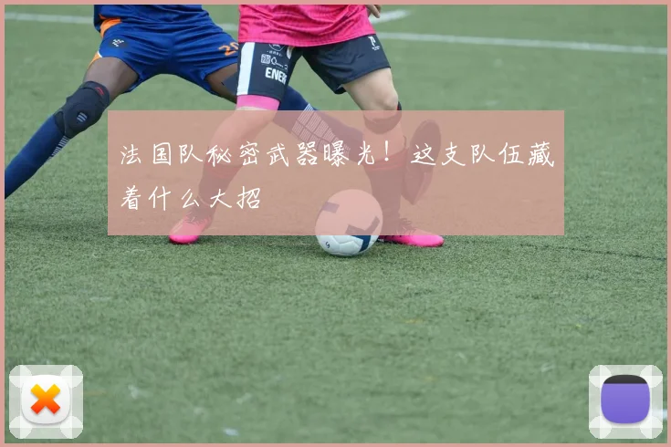 法国队秘密武器曝光！这支队伍藏着什么大招